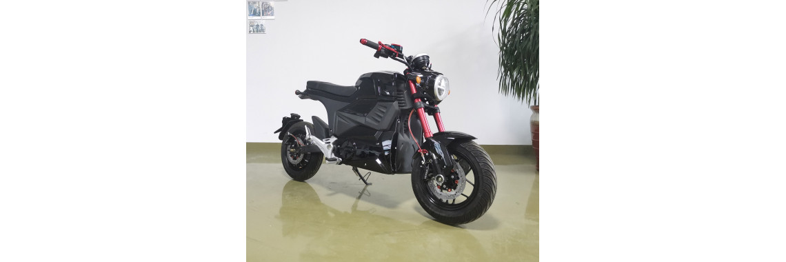 Electric motorcycle Rarog R600