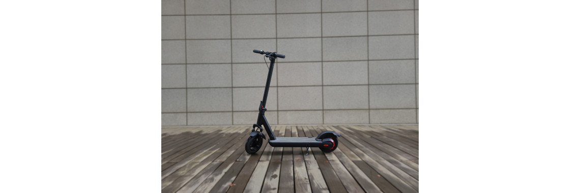 Electric scooter Rarog S1